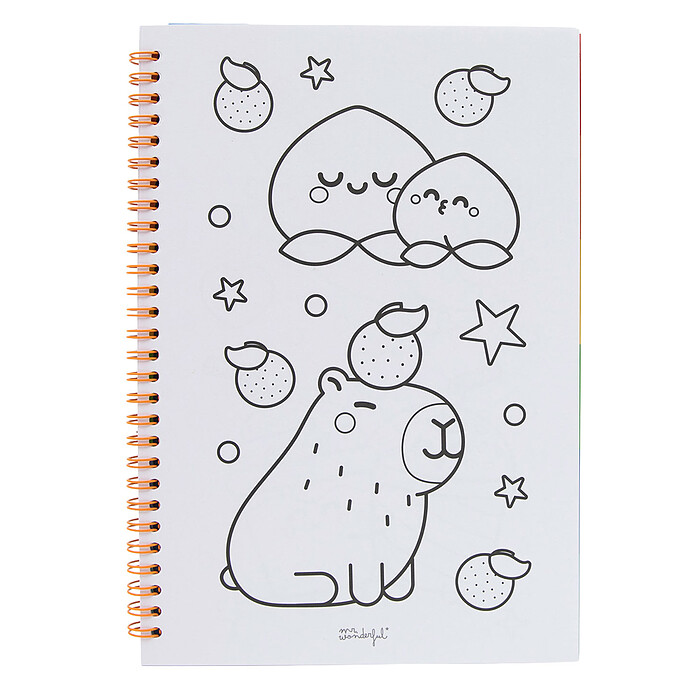 Livre de Coloriage et Autocollants - It's Time To Have Fun Mr Wonderful