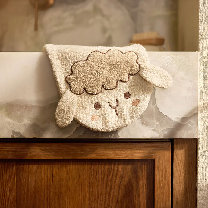 Gant de toilette
