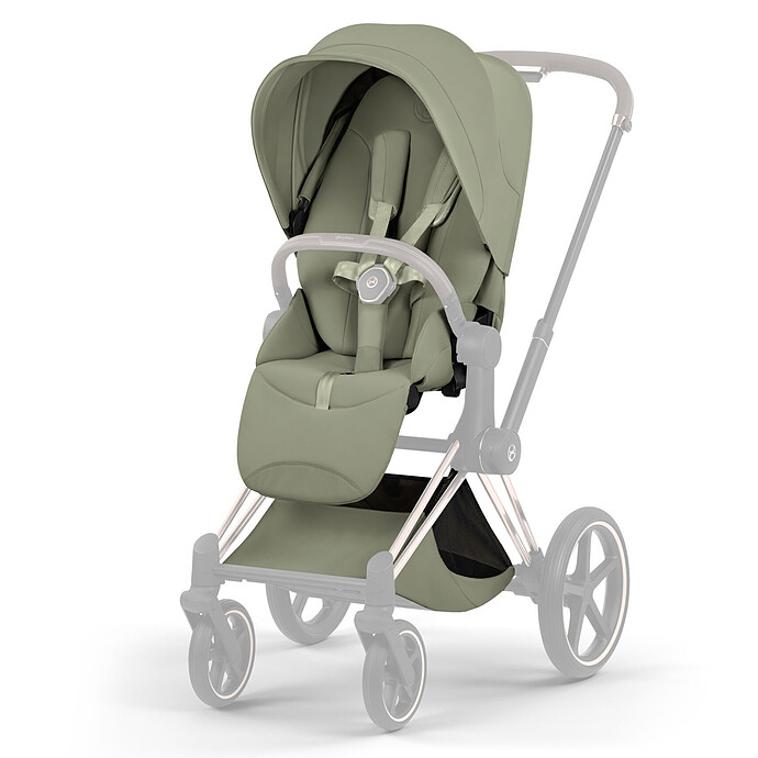 Assise Priam 2026 - Sage Green Cybex