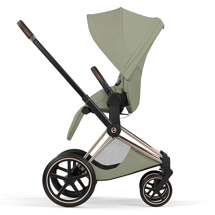 Assise Priam 2026 - Sage Green Cybex
