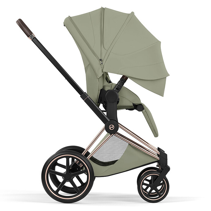 Avis Assise Priam 2026 - Sage Green