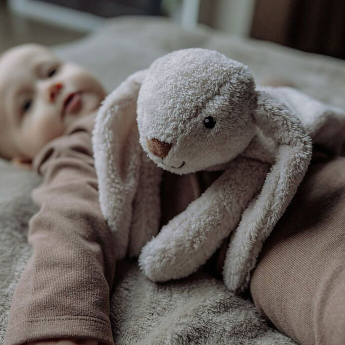 Avis Doudou Chauffant Milo - Gris Clair