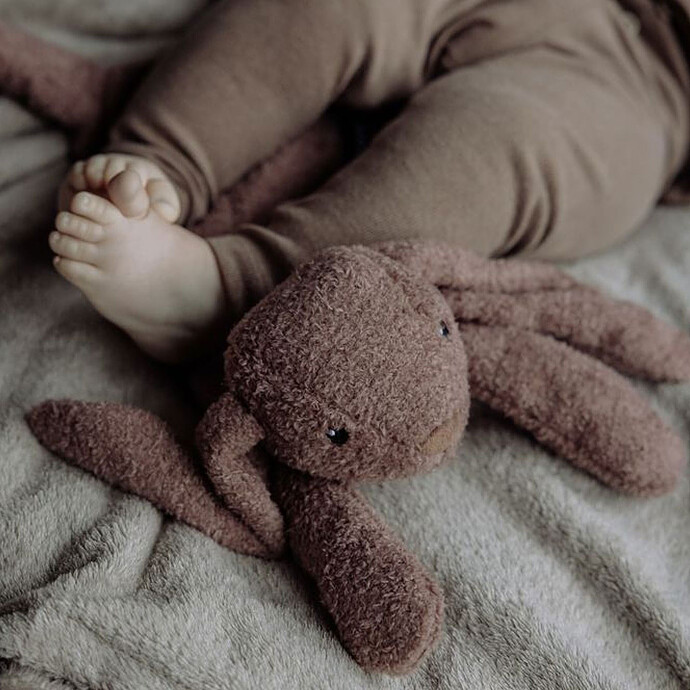 Avis Doudou Chauffant Milo - Choco
