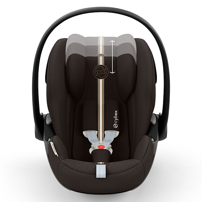 Achat Siège Auto Cloud G3 Plus -Size Groupe 0+ - Chocolate Brown