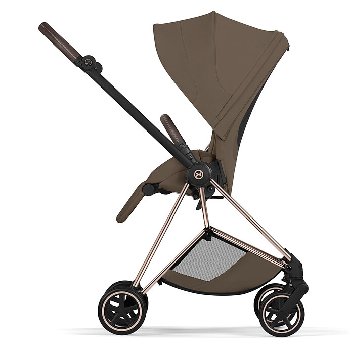 Avis Assise Mios 2026 - Chocolate Brown