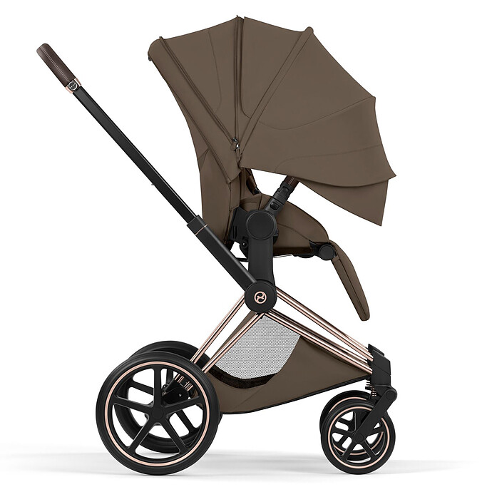 Avis Assise Priam 2026 - Chocolate Brown