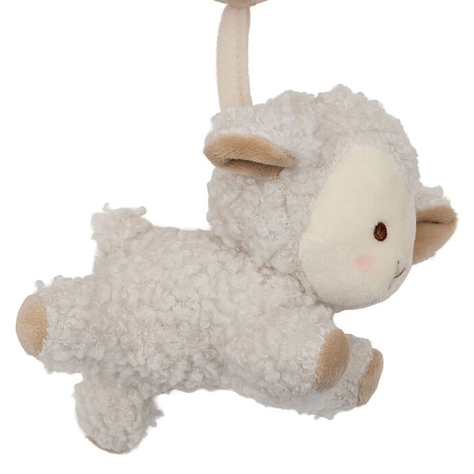 Achat Spirale d'Activité - Wooly