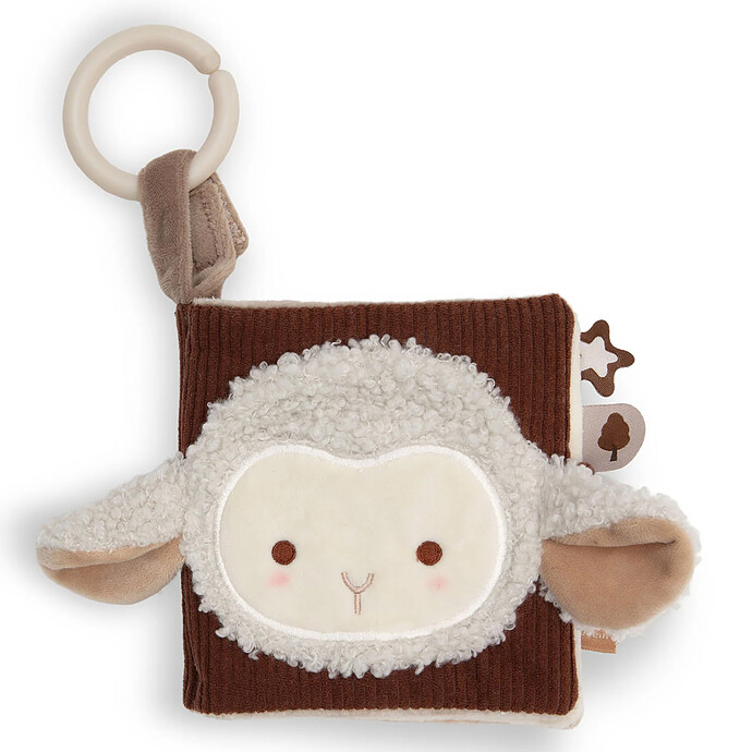 Livre d'Activités - Woolly Jollein