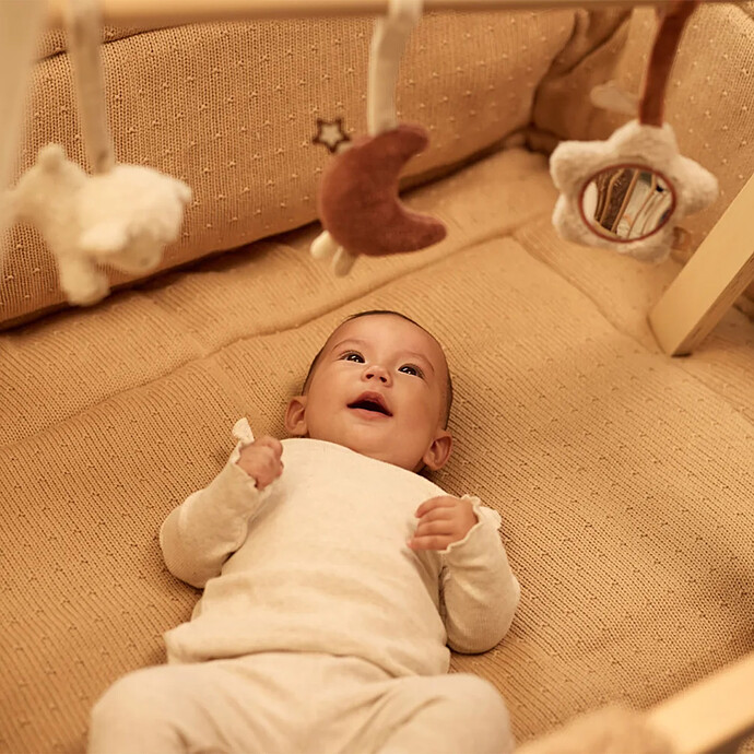 Avis Lot de 3 Jouets pour Arche d'Activités - Woolly