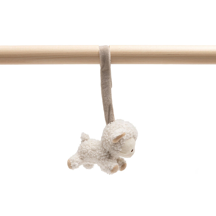 Achat Lot de 3 Jouets pour Arche d'Activités - Woolly