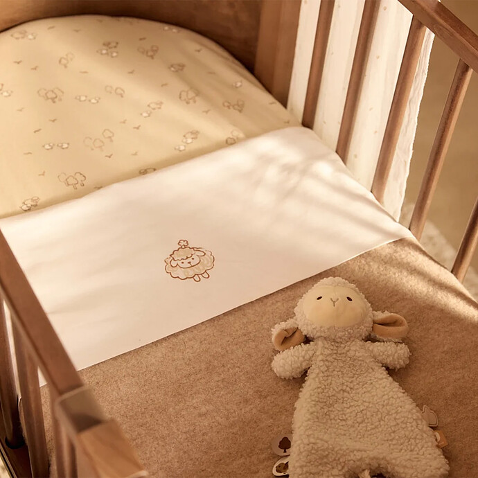 Avis Doudou Attache Tétine - Sheep Sony