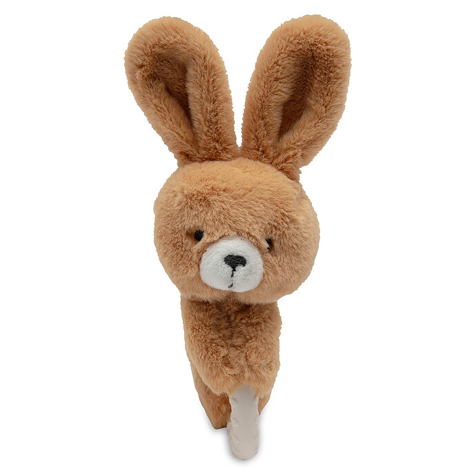 Avis Anneau de Dentition - Bunny Luz