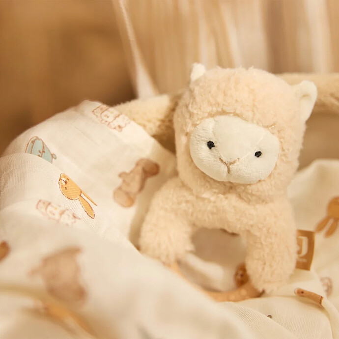 Avis Anneau de Dentition - Alpaca Paco