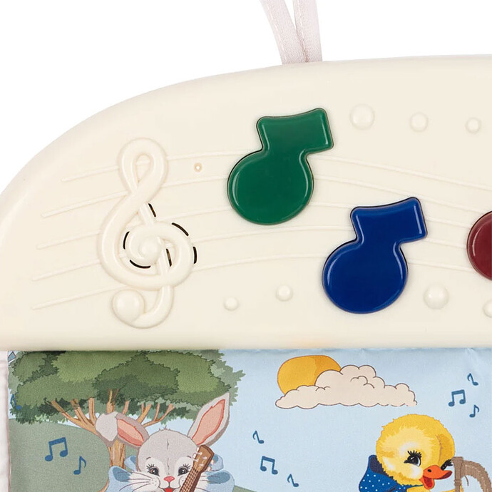 Avis Tapis Musical d'Eveil