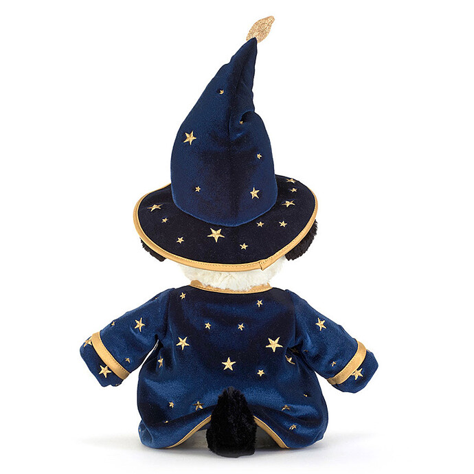 Achat Rufferty Puppy Wizard Outfit