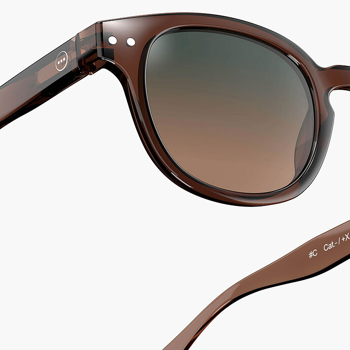 Avis Lunettes de Soleil Adulte #C - Dark Expresso