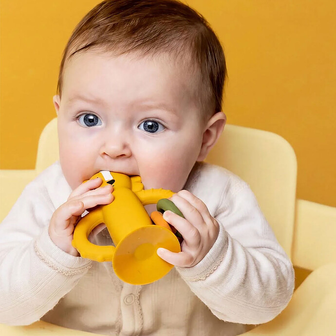 Avis Jouet Sensoriel en Silicone avec Ventouse - Mr. Lion