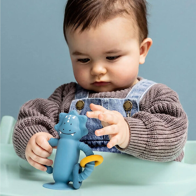 Avis Jouet Sensoriel en Silicone avec Ventouse - Mr. Triceratops