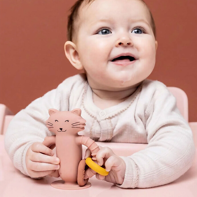 Avis Jouet Sensoriel en Silicone avec Ventouse - Mrs. Cat