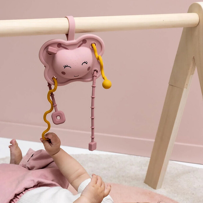Jouet Sensoriel à Tirer en Silicone - Mrs. Butterfly Trixie Baby