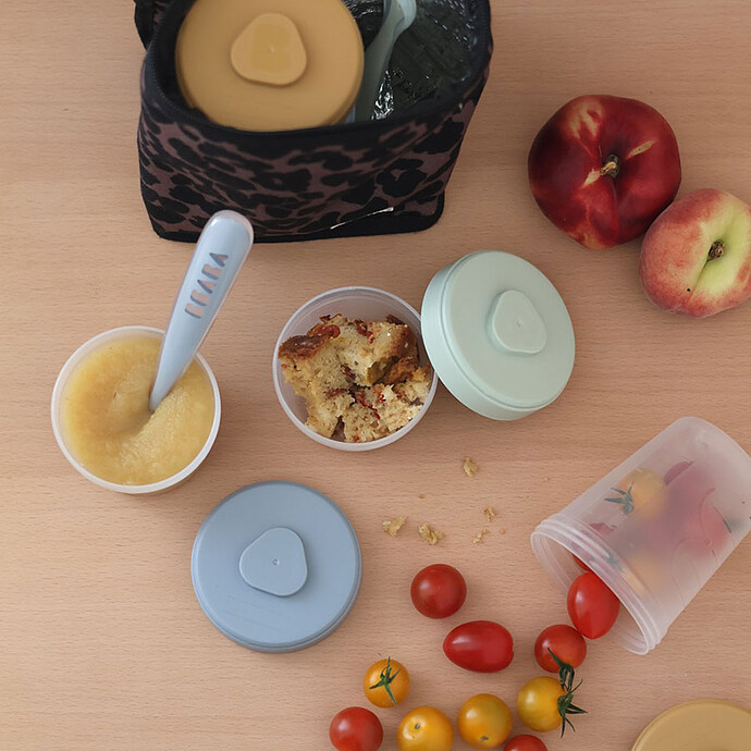 Avis Pack Premier Repas 12 Portions Clip + 2 Cuillères 1er Âge Silicone - Galet