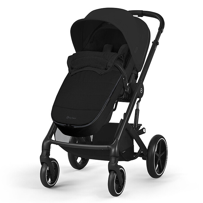Avis Chancelière Gold - Black