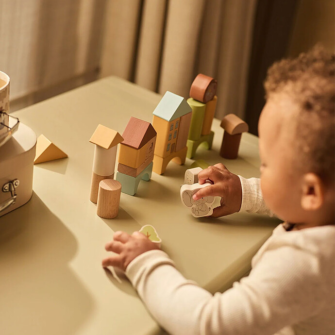 Set de Blocs en Bois - Jollies pas cher