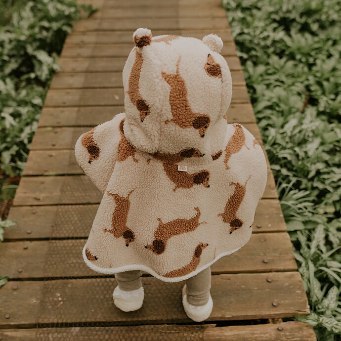 Achat Poncho Teddy Dog