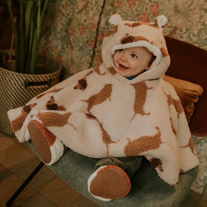 Poncho Teddy Dog Rien que des bêtises
