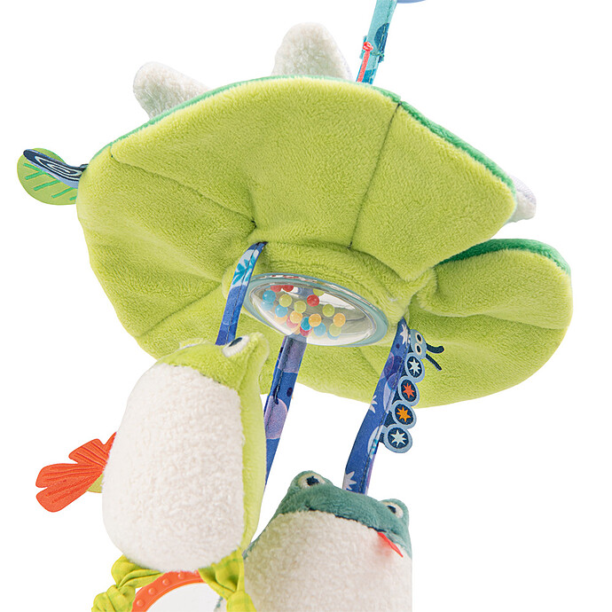 Suspension d'Activités Nénuphars - La Mare aux Grenouilles Moulin Roty