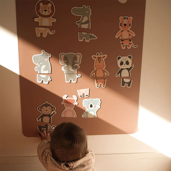 Puzzle Magnétique - Safari des Animaux Ferflex