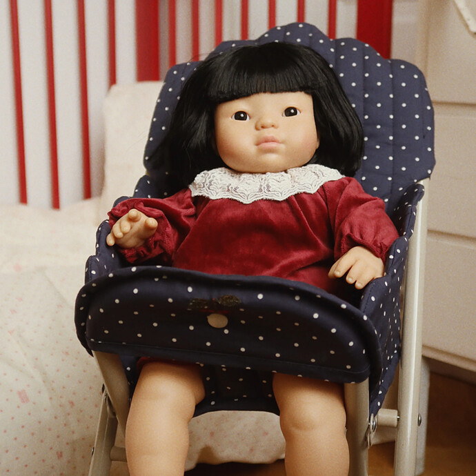 Avis Chaise Haute pour Poupée - Ditzy Dot