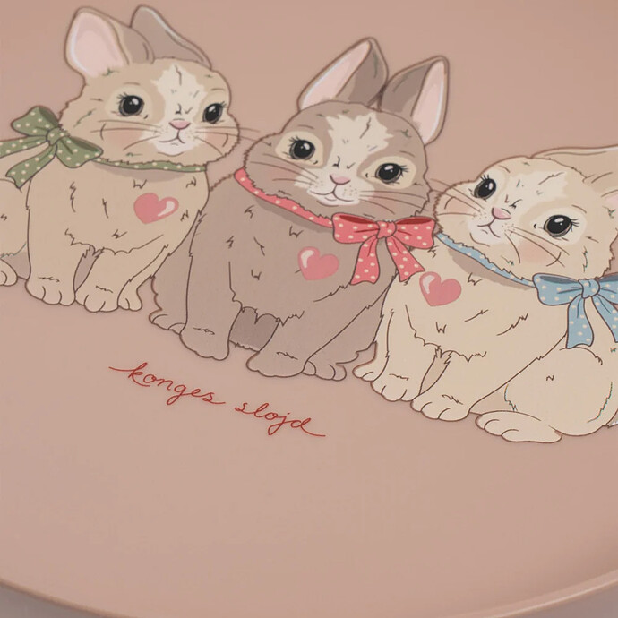 Avis Set de Repas 5 Pièces - Bunny