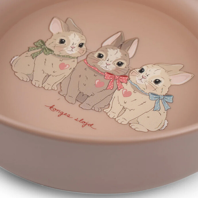 Set de Repas 5 Pièces - Bunny pas cher