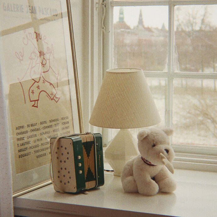 Avis Petit Chien Terry - Coeur Coloré