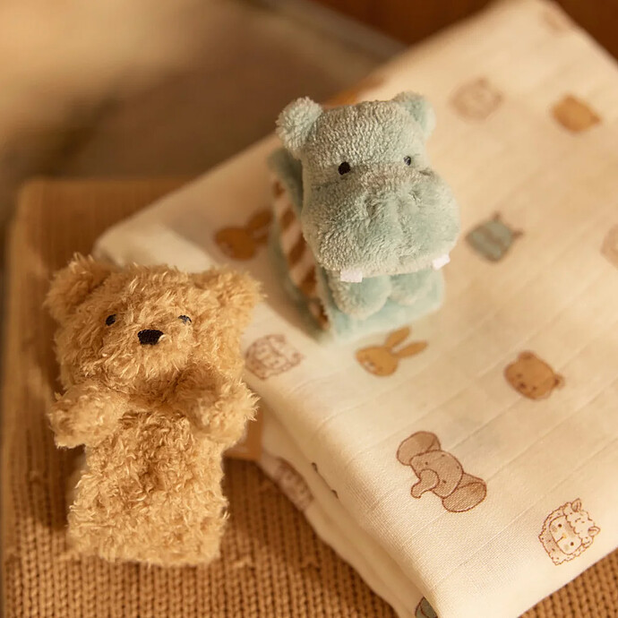 Avis Hochet Main et Pied Jollies - Hippo Happy
