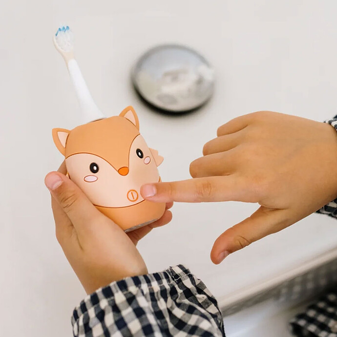 Avis Brosse à Dents Electrique - Fox