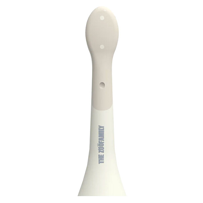 Avis Lot de 2 Têtes de Brosse à Dents Electrique 