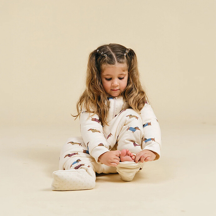 Gigoteuse Hiver avec Manches Amovibles et Pieds Antidérapants Fancy Teckel - 12 Mois molis&co