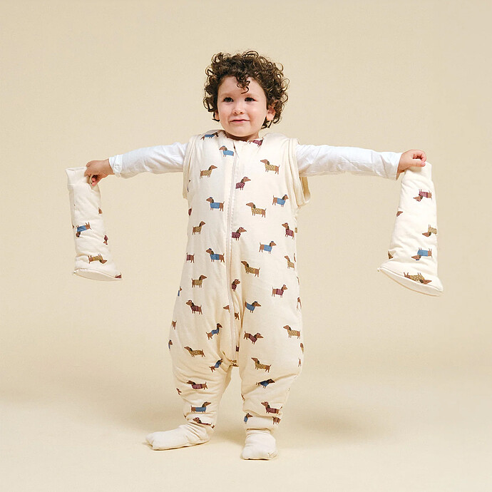 Avis Gigoteuse Hiver avec Manches Amovibles et Pieds Antidérapants Fancy Teckel - 12 Mois