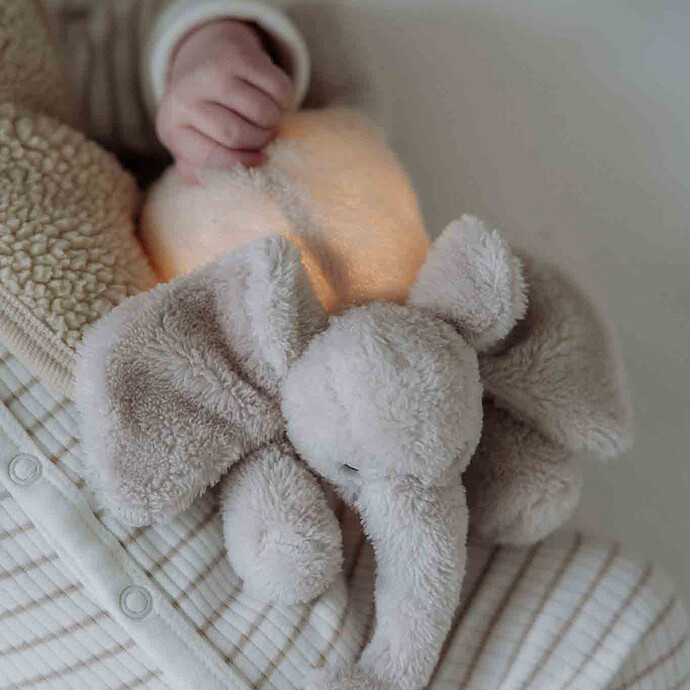 Peluche