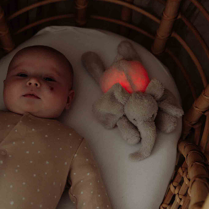 Avis Peluche Lumineuse George - Beige