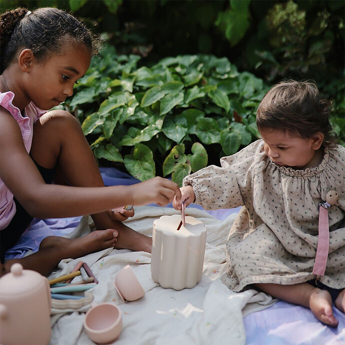 Boite de Tri Montessori mushie